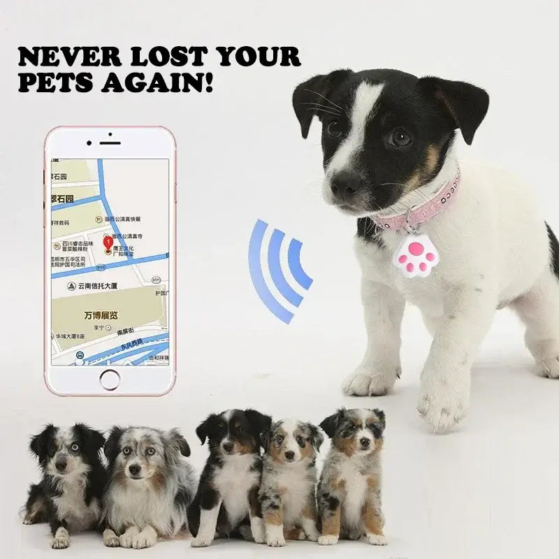 Dog Gps Tracker Collar